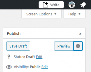 Preview mode in WordPress