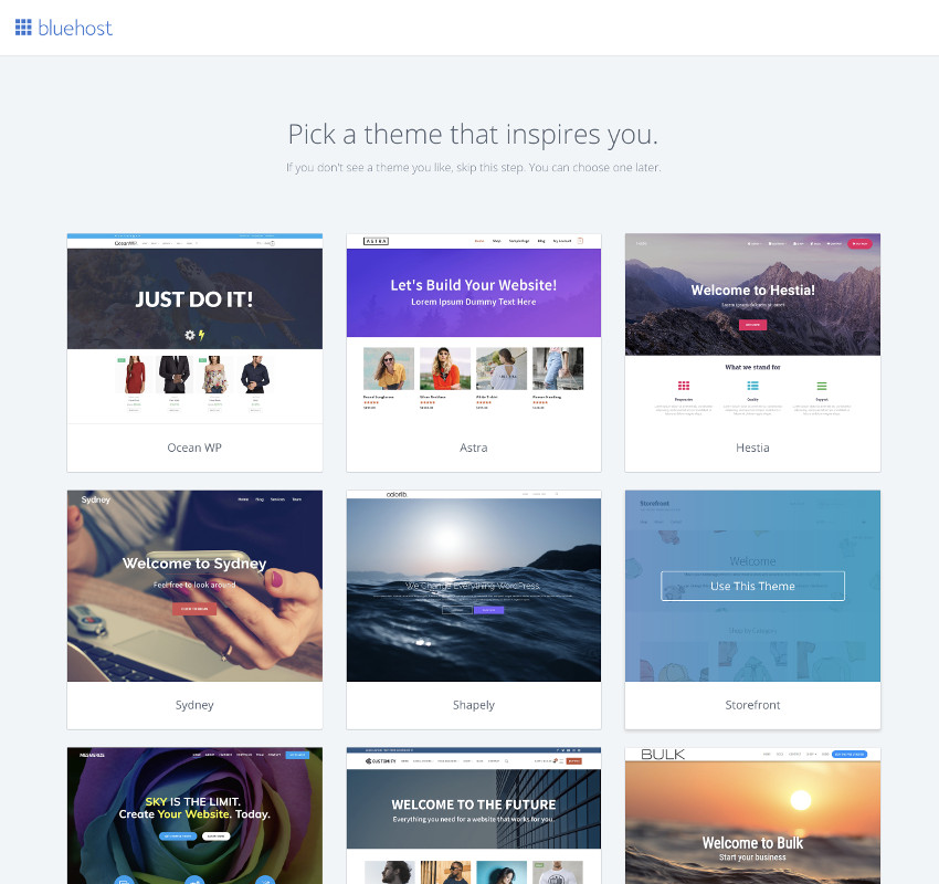 choose the perfect WordPress theme for your Bluehost account